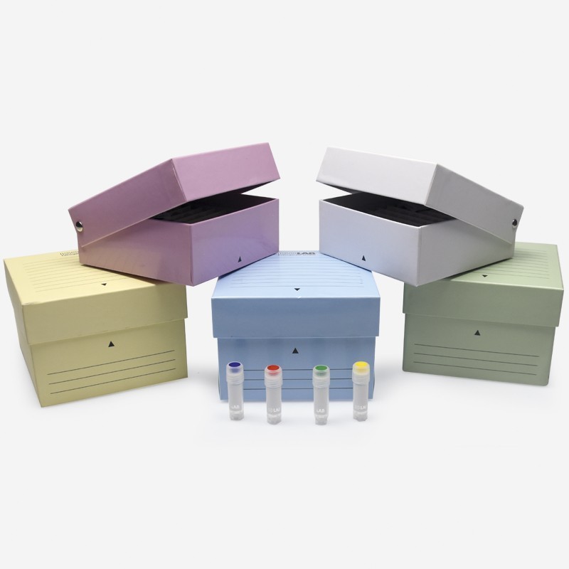cryo-tup-stantlari-81-yuvali-karton